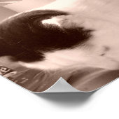  zwart-wit kat foto poster (Hoek)