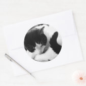 Zwart & Wit Kat Foto Stickers (Envelop)