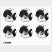 Zwart & Wit Kat Foto Stickers (Vel)