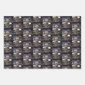 Zwart Wit Kat Gargoyle Inpakpapier Vel (Voorkant 3)