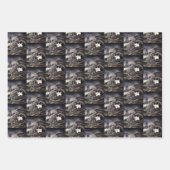 Zwart Wit Kat Gargoyle Inpakpapier Vel (Voorkant)