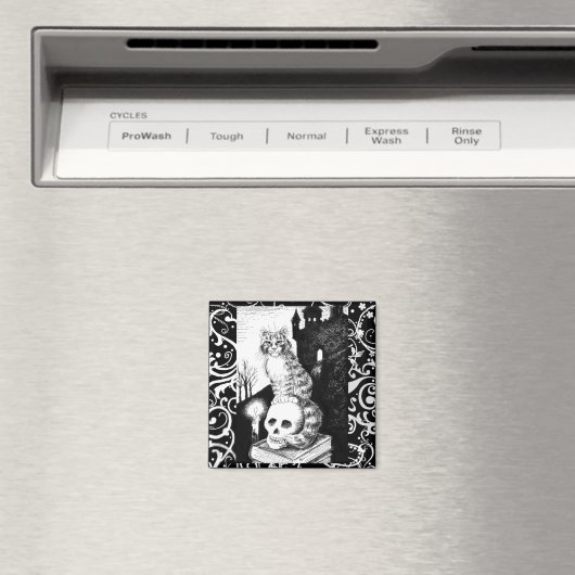 Zwart & Wit Kat Halloween kitten schedel magneet (Insitu (Vaatwasser))