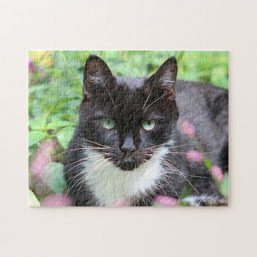 Zwart-wit kat in de tuin legpuzzel (Horizontaal)