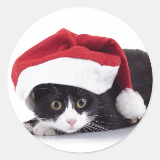 ZWART-WIT KAT IN Santa hat Sticker (Voorkant)