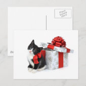 Zwart-wit kat met cadeaudoos briefkaart (Voorkant / Achterkant)