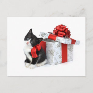 Zwart-wit kat met cadeaudoos briefkaart