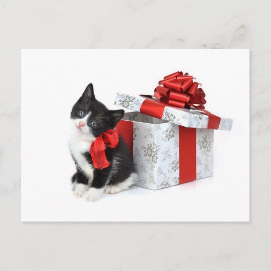 Zwart-wit kat met cadeaudoos briefkaart (Voorkant)