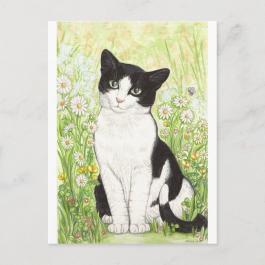 Zwart-wit kat met madeliefjes briefkaart (Voorkant)