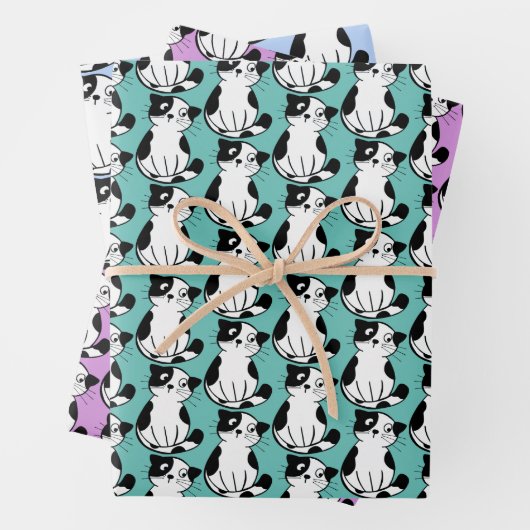 Zwart wit Kat, opvulpapier voor witte doxedo Inpakpapier Vel (In situ)