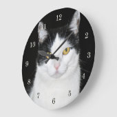 Zwart-wit kat portret grote klok (Hoek)