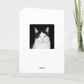 Zwart-wit kat portret kaart (Achterkant)