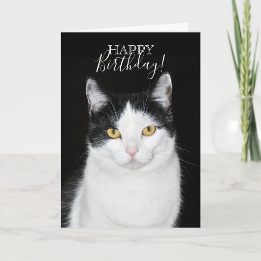 Zwart-wit kat portret kaart (Voorkant)