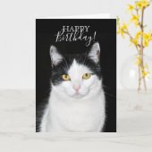 Zwart-wit kat portret kaart (Gele Bloem)