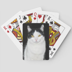 Zwart-wit kat portret pokerkaarten