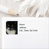 Zwart-wit Kat Return-adreslabel Etiket (Insitu)