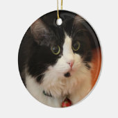 Zwart-wit katje met ronde ogen keramisch ornament (Links)