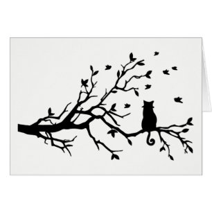 Zwart-wit katje met vogels in een boom