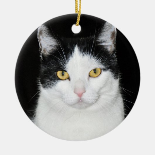 Zwart-wit katportret keramisch ornament (Voorkant)
