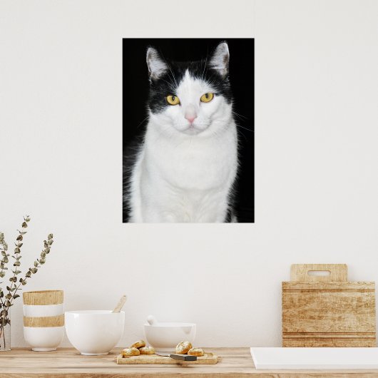 Zwart-wit katportret poster (Keuken)