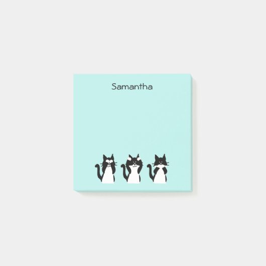 Zwart Wit Katten Drie Wijze Katten Aqua Blauw Post-it® Notes (Voorkant)
