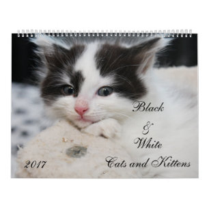 ZWART-WIT KATTEN EN KITTENS KALENDER