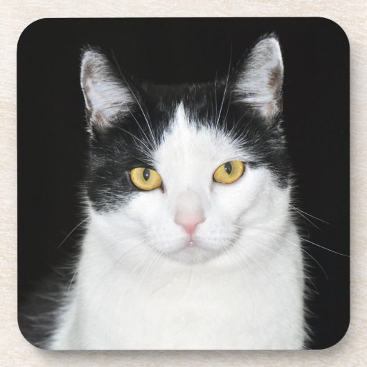 Zwart-wit kattenportret bier onderzetter (Voorkant)