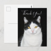 Zwart-wit kattenportret briefkaart (Voorkant / Achterkant)