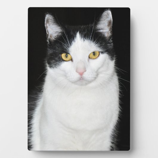 Zwart-wit kattenportret fotoplaat (voorkant)