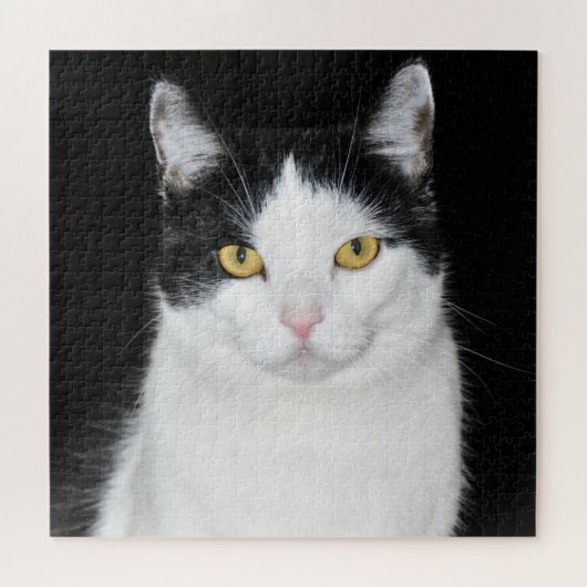 Zwart-wit kattenportret legpuzzel (Horizontaal)