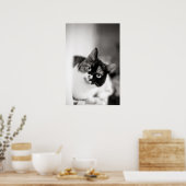 Zwart-wit kattenportret poster (Keuken)