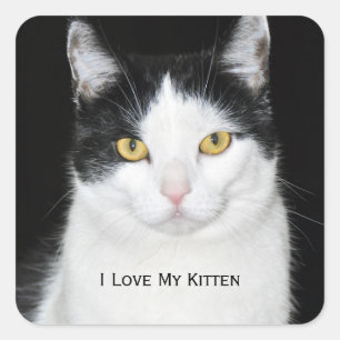 Zwart-wit kattenportret vierkante sticker