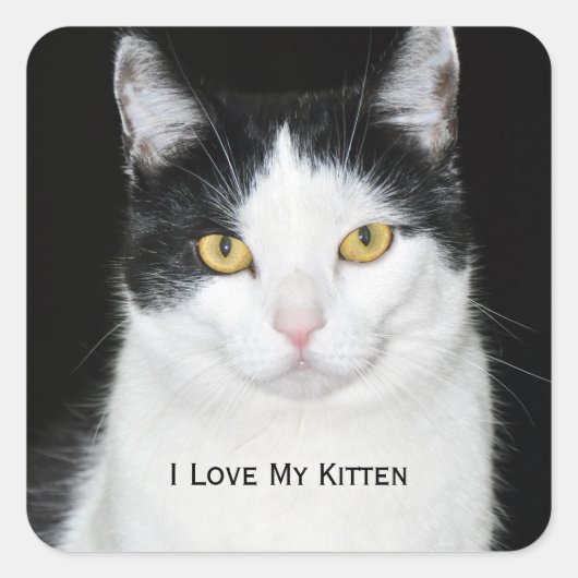 Zwart-wit kattenportret vierkante sticker (Voorkant)