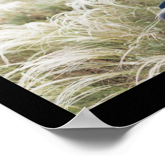 Zwart-wit kies een stoel niet een kant Huwelijksfo Poster (Hoek)