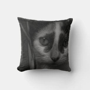 Zwart-wit - Kitten 02 Kussen