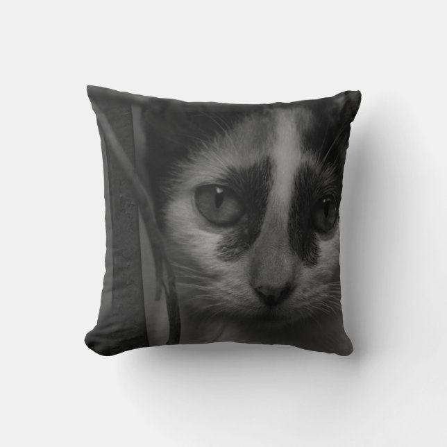 Zwart-wit - Kitten 02 Kussen (Voorkant)