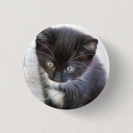 Zwart-wit Kitten Foto Ronde Button 3,2 Cm (Voorkant)