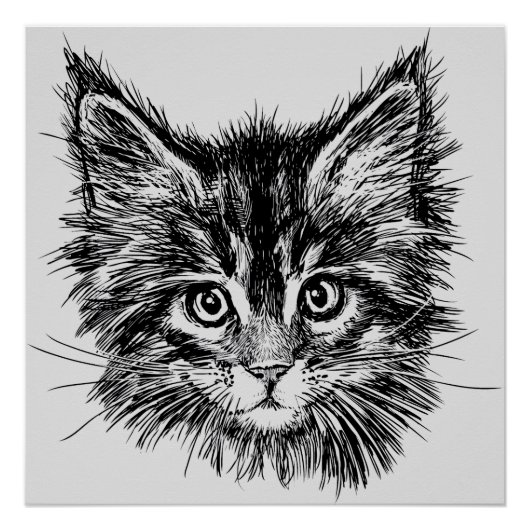 Zwart-wit kitten gezicht op grijs perfect poster (Voorkant)