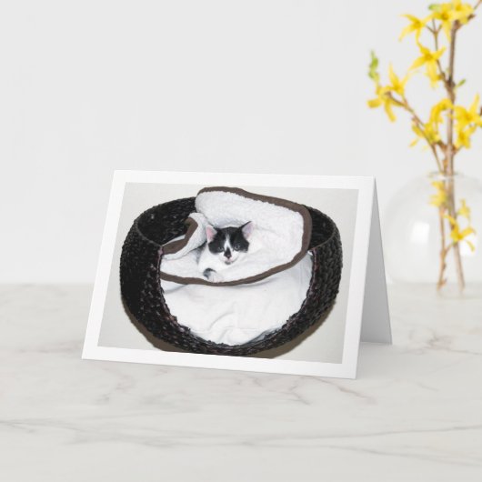 Zwart-wit kitten in bed kaart (Gele Bloem)