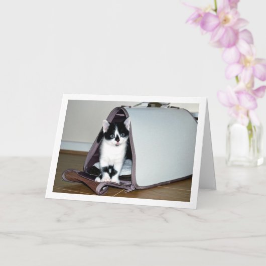 Zwart-wit kitten in kattendrager kaart (Orchidee)