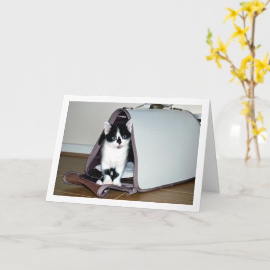 Zwart-wit kitten in kattendrager kaart (Gele Bloem)