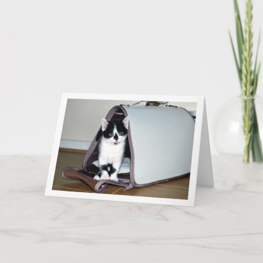 Zwart-wit kitten in kattendrager kaart (Voorkant)