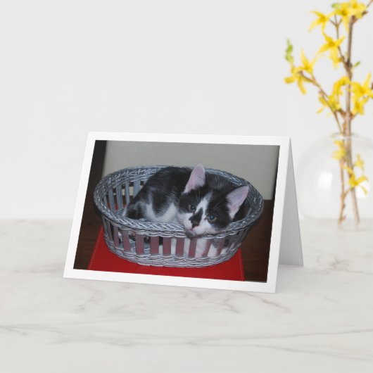 Zwart-wit kitten in mand kaart (Gele Bloem)
