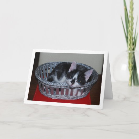 Zwart-wit kitten in mand kaart (Voorkant)