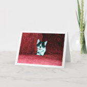 Zwart-wit kitten op rode bank kaart (Voorkant)