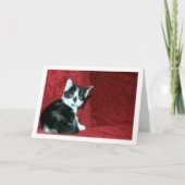 Zwart-wit kitten op rode bank kaart (Voorkant)