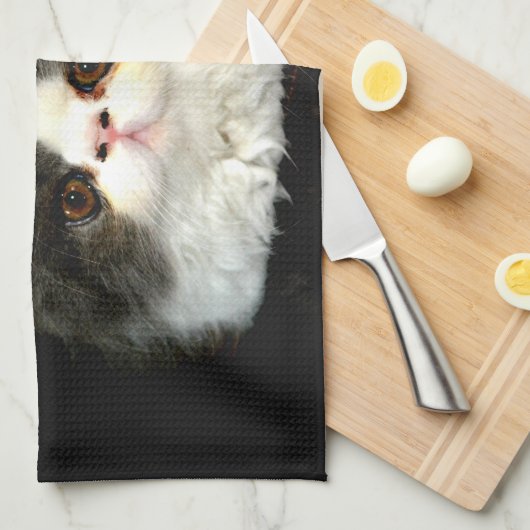 Zwart Wit Kitten pluizig kat Theedoek (Quarter Fold)