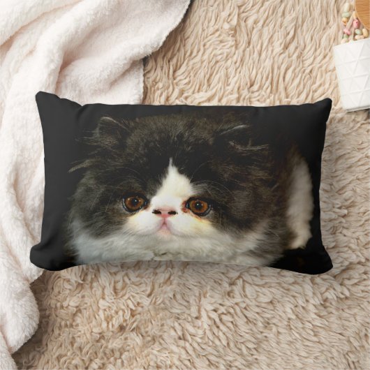 Zwart Wit Kitten zwart wit schattig kat Kussen (Deken)