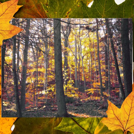 Zwart-Wit Kleurrijke Herfst Ansichtkaart Briefkaart