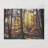 Zwart-Wit Kleurrijke Herfst Ansichtkaart Briefkaart (Voorkant)