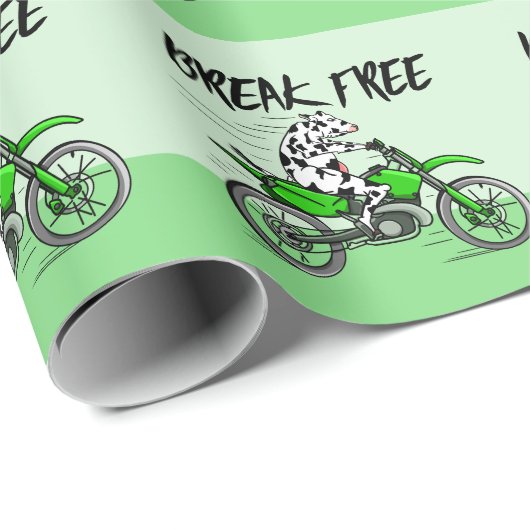 Zwart-wit koe breekt los cadeaupapier (Rol Hoek)